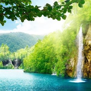 Meet your Posher, Dawn